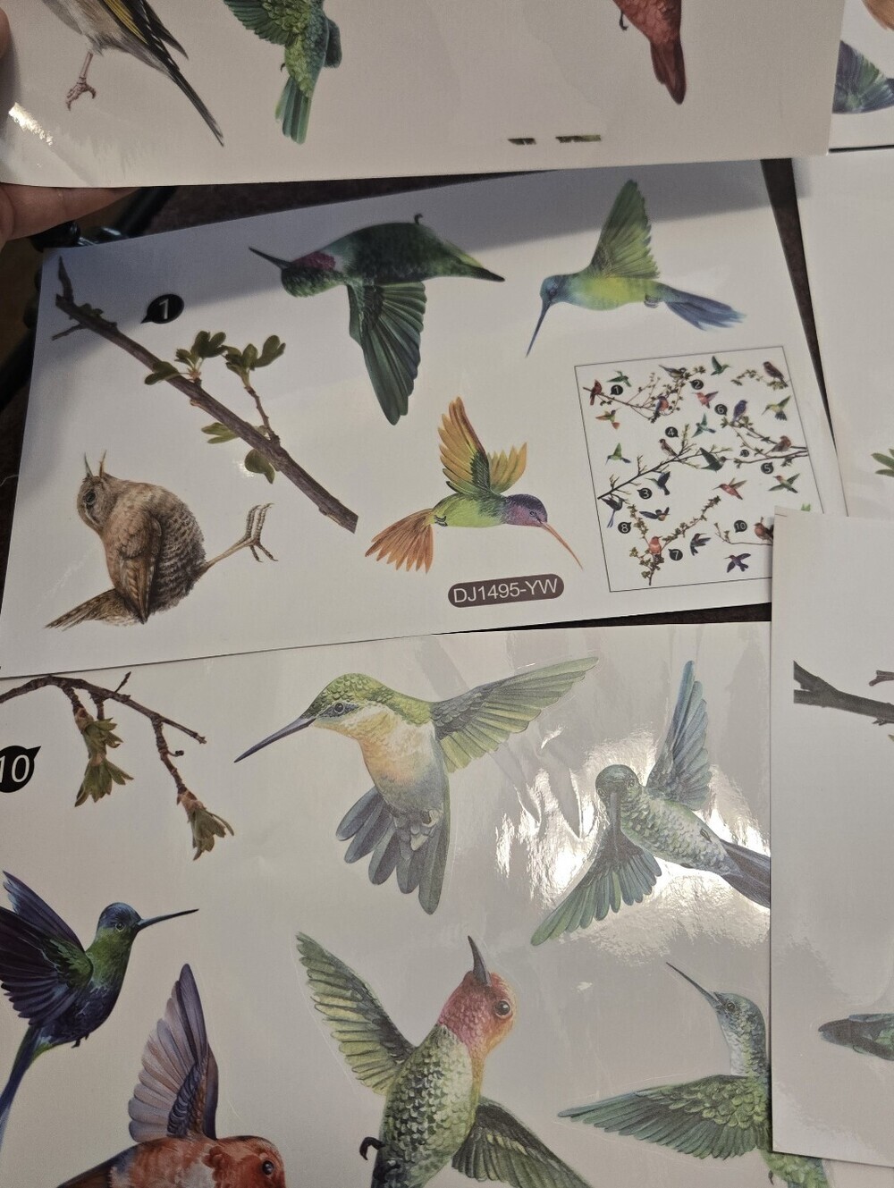 Bird & Branch Vinyl Window Clings Reusable No Adhesive - Picture 3 of 11